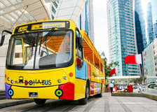 Doha Bus: Doha Hop-on Hop-off Bus Tour