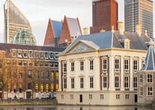 Mauritshuis Museum + Escher in The Palace