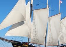 Toronto: Tall Ship Boat Cruise
