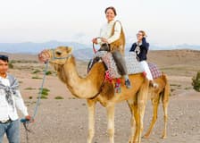 Sunset Desert Tour with Camel Ride, Dinner Show & Transfers