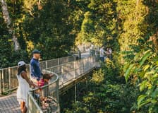 Mamu Tropical Skywalk: Entry Ticket