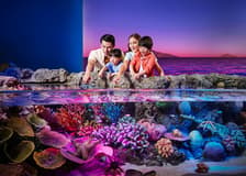Combo: SEA LIFE Bangkok + Madame Tussauds Bangkok Tickets