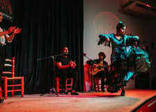 Tablao La Alboreá Granada: Flamenco Show