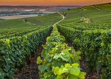 French Riviera: Nice, Gorges du Loup Waterfall + Wine and Tasting Day Tour