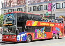 City Sightseeing: Toronto Hop-on Hop-off Bus Tour