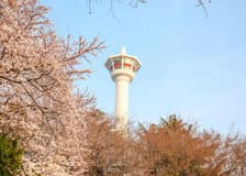 Busan Tower Observatory Entry Tickets