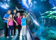 ICON Park Attraction Package: The Orlando Eye, Madame Tussaud's and SEA Life Aquarium