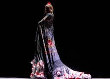 Teatro Flamenco Málaga Club - Essence Flamenco Show
