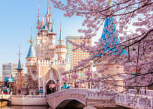 Discover Seoul Pass: 70+ Attractions