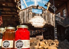 Nashville: Soul of Music City Night Tour