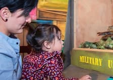 Ripley's Believe It or Not! San Antonio: 4-Attraction Pass
