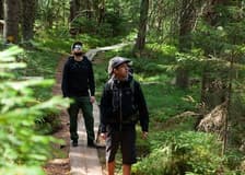 Helsinki: Magical Taiga Forest Hike