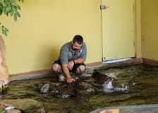 Crocosaurus Cove Tickets with Whipray Encounter