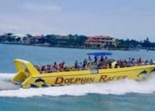 St. Pete Beach Area: Dolphin Racer Speedboat Adventure