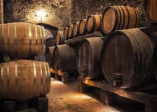 Tuscany Wine and Olive Oil Trail: Small-Group Tour From Florence