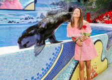Dubai Dolphinarium: Dolphin & Seal Show + Mirror Maze Tickets with Popcorn