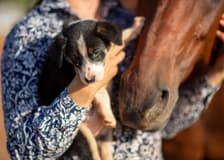 Katherine Outback Experience - 2 Hour Show