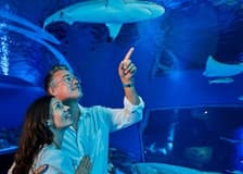 Cairns Aquarium & Tomb of the Pharaohs: Entry Ticket