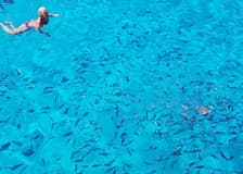 Parga, Syvota & Blue Lagoon: Full-Day Boat Cruise from Corfu