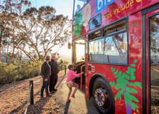 Blue Mountains Hop-On Hop-Off Bus Tour with Optional Scenic World Pass
