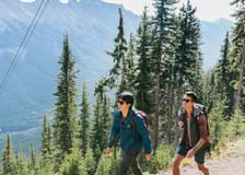 Banff Gondola: Entry Ticket