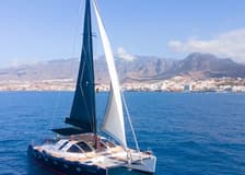 Tenerife: 3-Hour Whale & Dolphin Watching Catamaran Tour with Catering