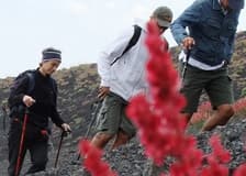 Mount Etna: Excursion from Catania