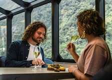 Premium Milford Sound Cruise with Gourmet Canapes & Sparkling Wine