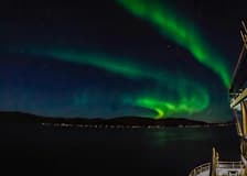 3.5-Hour Electric Northern Lights Guided Cruise with Light Meals