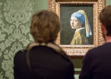 The Mauritshuis Museum: Entry Ticket