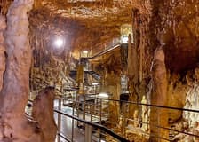Okinawa World Admission Tickets