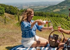 Corte Pavone Winery Estate: Picnic with Wine & Food + Vineyard Guided Tour