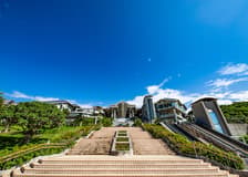 Churaumi Aquarium Direct Entry Tickets [E-Ticket]