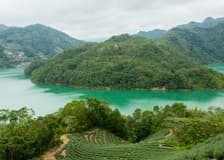 Thousand Island Lake & Pinglin Tea Plantation: Afternoon Tour from Taipei