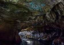 Offbeat Waitomo Glowworm Cave Small Group Guided Tour