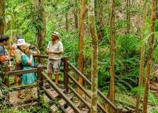 From Hervey Bay: K'gari (Fraser Island) 1-Day Classic Coach Tour with Lunch