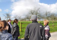 From Paris: D-Day Normandy Beaches Full-Day Guided Tour