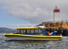 2.5-Hour Iron Pot Cruise from Hobart Waterfront
