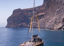 Tenerife: 4.5-Hour Whale & Dolphin Watching Tour to Masca & Los Gigantes