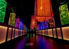 Art Aquarium Museum Ginza Tickets