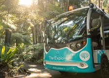 The Explorer: Melbourne Gardens