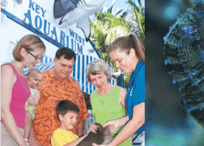 Key West Aquarium: Entry Ticket