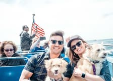 Chicago: Canine Cruise