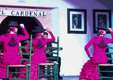 El Cardenal - Flamenco Show