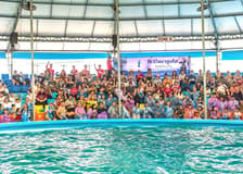 Phuket Dolphin Show Tickets: Thai Residents