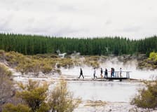 Hell's Gate Geothermal Walk & Māori Carving Tickets