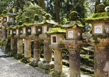 Kyoto & Nara by Private Car: Temples, Deer Park & Scenic Stops