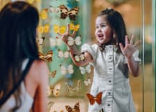 Melbourne Musuem Tickets