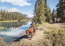Cowboy Cookout: Wagon Ride from Banff
