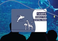 Tampa Family Fun Pass
